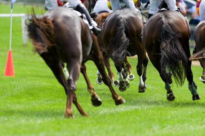Is Horse Racing Harmful to the Environment?