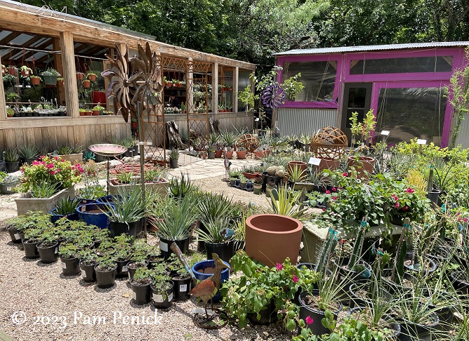 Plants and pots at Shades of Green nursery in San Antonio